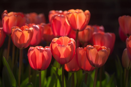 695428 (a): :2048x1360